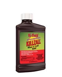 Super Concentrate Killzall Weed & Grass Killer (8 oz)